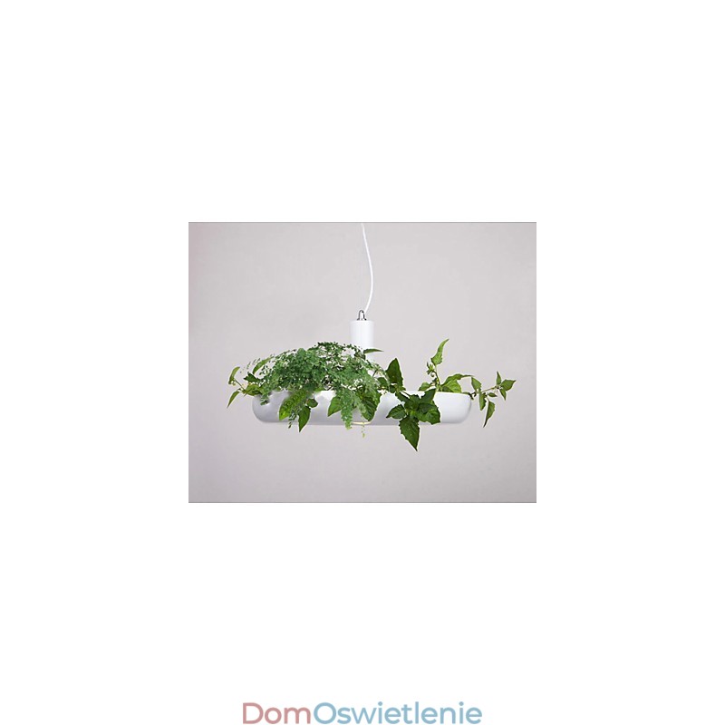 Czysta biel Nowoczesna współczesna dekoracyjna lampa wisząca Rodzina